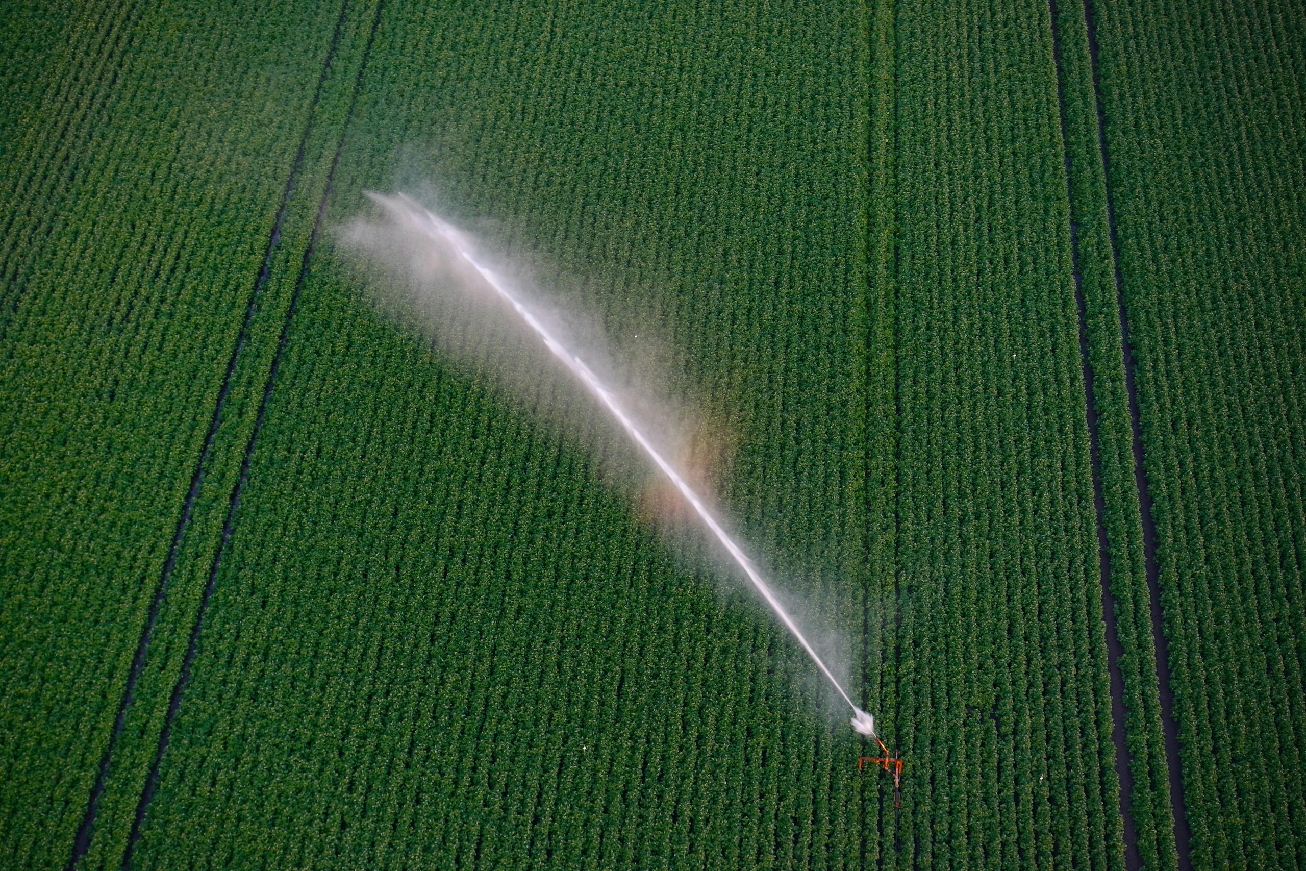 Lisímetros y Evapotranspiración: Tipos, Funcionamiento y Aplicaciones