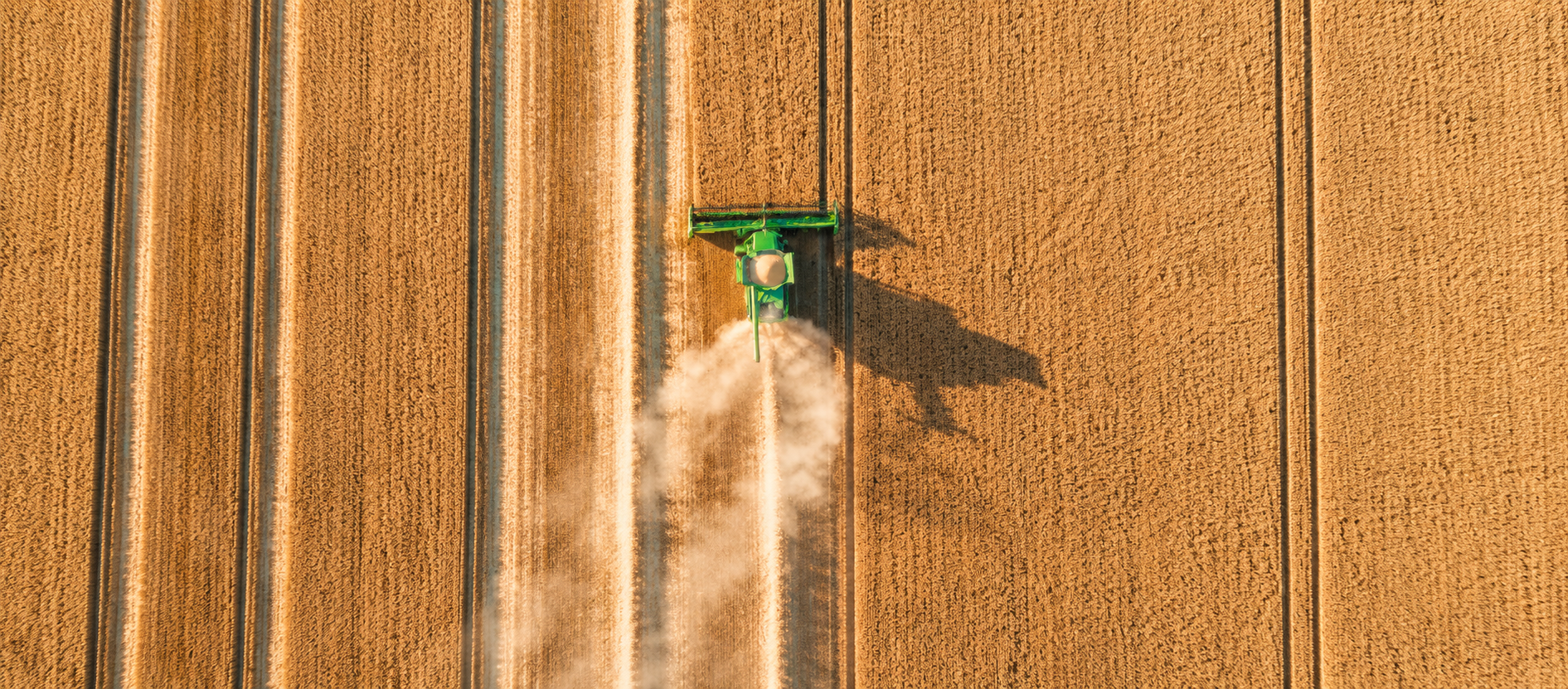 Decis® Evo: Protección frente a las plagas